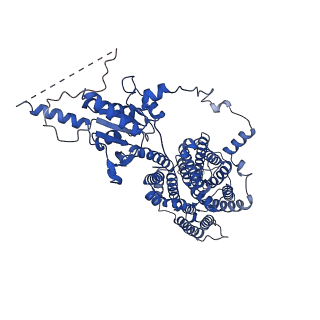 24928_7s8x_B_v1-2
Cryo-EM Structure of dolphin Prestin: Sensor Up (compact) state