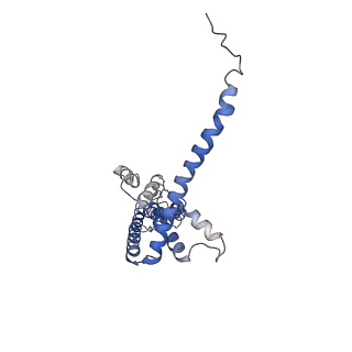 40232_8s8z_A_v1-0
Cryo-EM structure of octameric human CALHM1 (I109W) in complex with ruthenium red