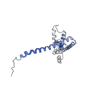 40232_8s8z_E_v1-0
Cryo-EM structure of octameric human CALHM1 (I109W) in complex with ruthenium red