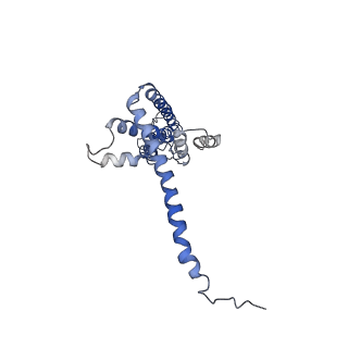 40232_8s8z_G_v1-0
Cryo-EM structure of octameric human CALHM1 (I109W) in complex with ruthenium red