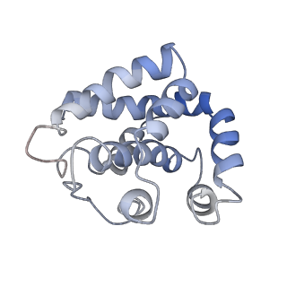 10126_6s91_B_v1-2
Cryo-EM structure of the Type III-B Cmr-beta bound to cognate target RNA and AMPPnP, state 2
