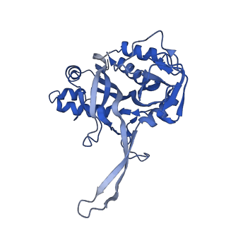 10126_6s91_E_v1-2
Cryo-EM structure of the Type III-B Cmr-beta bound to cognate target RNA and AMPPnP, state 2