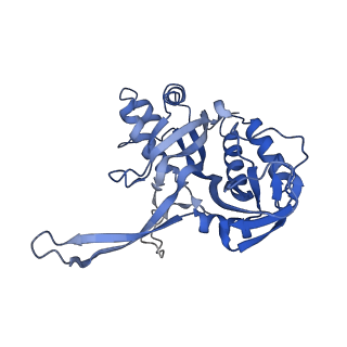 10126_6s91_F_v1-2
Cryo-EM structure of the Type III-B Cmr-beta bound to cognate target RNA and AMPPnP, state 2