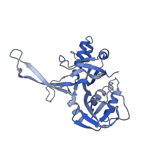 10126_6s91_G_v1-2
Cryo-EM structure of the Type III-B Cmr-beta bound to cognate target RNA and AMPPnP, state 2