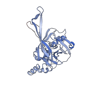10126_6s91_H_v1-2
Cryo-EM structure of the Type III-B Cmr-beta bound to cognate target RNA and AMPPnP, state 2