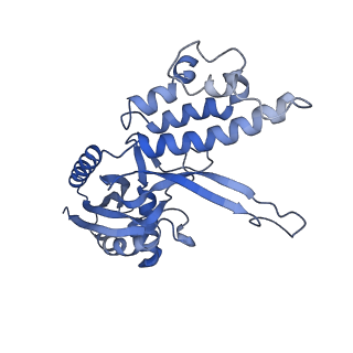 10126_6s91_I_v1-2
Cryo-EM structure of the Type III-B Cmr-beta bound to cognate target RNA and AMPPnP, state 2