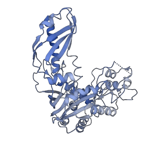 10126_6s91_J_v1-2
Cryo-EM structure of the Type III-B Cmr-beta bound to cognate target RNA and AMPPnP, state 2