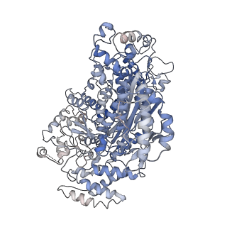 10126_6s91_K_v1-2
Cryo-EM structure of the Type III-B Cmr-beta bound to cognate target RNA and AMPPnP, state 2