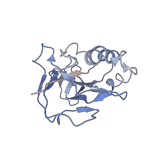 10126_6s91_L_v1-2
Cryo-EM structure of the Type III-B Cmr-beta bound to cognate target RNA and AMPPnP, state 2