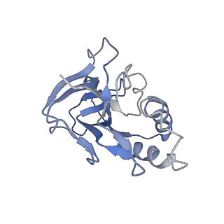 10126_6s91_M_v1-2
Cryo-EM structure of the Type III-B Cmr-beta bound to cognate target RNA and AMPPnP, state 2