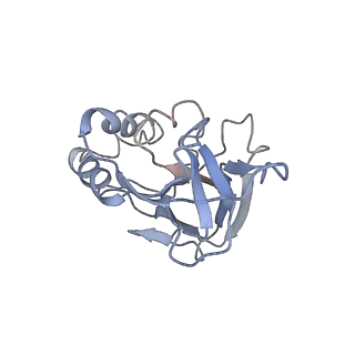 10126_6s91_N_v1-2
Cryo-EM structure of the Type III-B Cmr-beta bound to cognate target RNA and AMPPnP, state 2