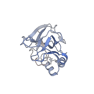 10126_6s91_O_v1-2
Cryo-EM structure of the Type III-B Cmr-beta bound to cognate target RNA and AMPPnP, state 2
