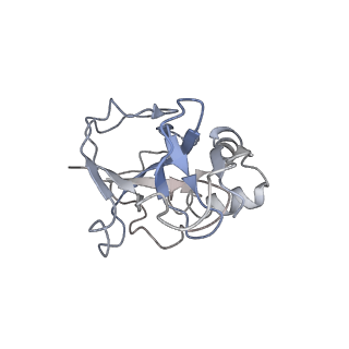 10126_6s91_P_v1-2
Cryo-EM structure of the Type III-B Cmr-beta bound to cognate target RNA and AMPPnP, state 2