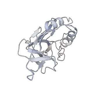 10126_6s91_Q_v1-2
Cryo-EM structure of the Type III-B Cmr-beta bound to cognate target RNA and AMPPnP, state 2