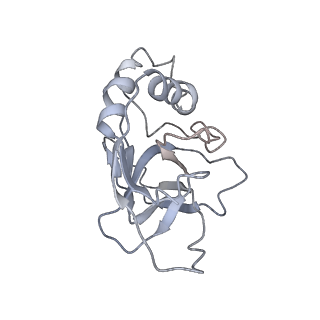 10126_6s91_R_v1-2
Cryo-EM structure of the Type III-B Cmr-beta bound to cognate target RNA and AMPPnP, state 2