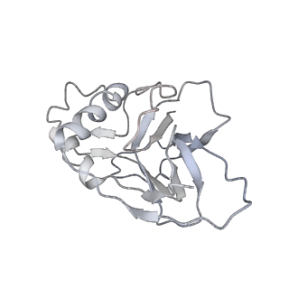 10126_6s91_S_v1-2
Cryo-EM structure of the Type III-B Cmr-beta bound to cognate target RNA and AMPPnP, state 2