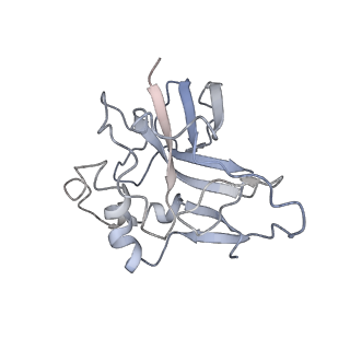 10126_6s91_T_v1-2
Cryo-EM structure of the Type III-B Cmr-beta bound to cognate target RNA and AMPPnP, state 2