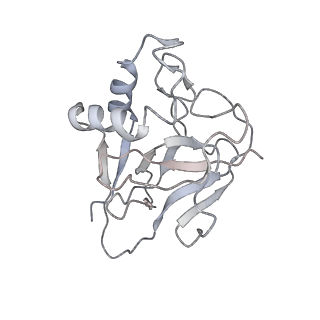 10126_6s91_W_v1-2
Cryo-EM structure of the Type III-B Cmr-beta bound to cognate target RNA and AMPPnP, state 2