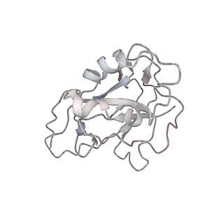 10126_6s91_X_v1-2
Cryo-EM structure of the Type III-B Cmr-beta bound to cognate target RNA and AMPPnP, state 2