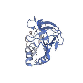 10126_6s91_l_v1-2
Cryo-EM structure of the Type III-B Cmr-beta bound to cognate target RNA and AMPPnP, state 2