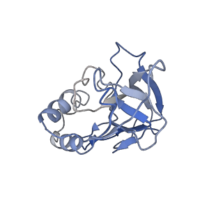 10126_6s91_m_v1-2
Cryo-EM structure of the Type III-B Cmr-beta bound to cognate target RNA and AMPPnP, state 2