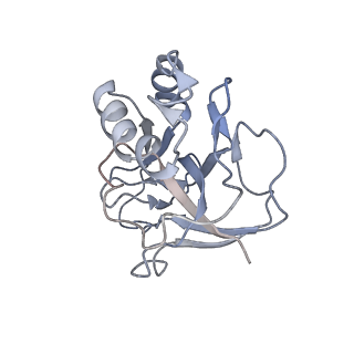 10126_6s91_p_v1-2
Cryo-EM structure of the Type III-B Cmr-beta bound to cognate target RNA and AMPPnP, state 2