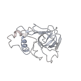 10126_6s91_q_v1-2
Cryo-EM structure of the Type III-B Cmr-beta bound to cognate target RNA and AMPPnP, state 2