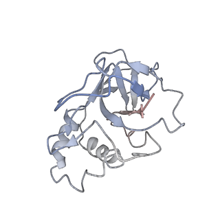 10126_6s91_r_v1-2
Cryo-EM structure of the Type III-B Cmr-beta bound to cognate target RNA and AMPPnP, state 2