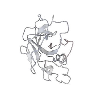 10126_6s91_s_v1-2
Cryo-EM structure of the Type III-B Cmr-beta bound to cognate target RNA and AMPPnP, state 2