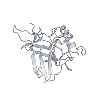 10126_6s91_t_v1-2
Cryo-EM structure of the Type III-B Cmr-beta bound to cognate target RNA and AMPPnP, state 2