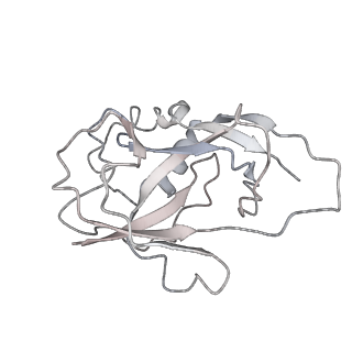 10126_6s91_x_v1-2
Cryo-EM structure of the Type III-B Cmr-beta bound to cognate target RNA and AMPPnP, state 2