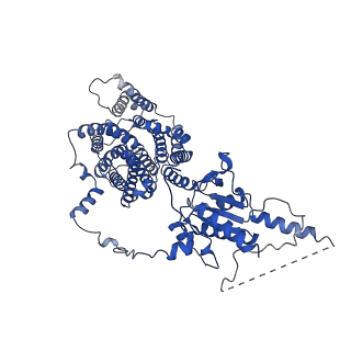 24934_7s9e_A_v1-2
Cryo-EM Structure of dolphin Prestin: Inhibited II (Sulfate +Salicylate) state