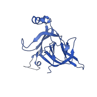 24937_7s9u_D_v1-1
44SR3C ribosomal particle