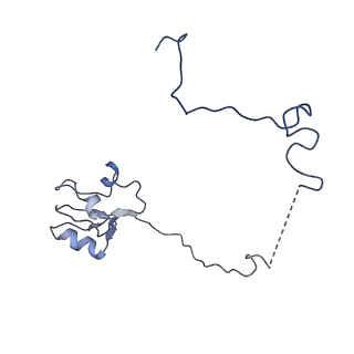 24937_7s9u_L_v1-1
44SR3C ribosomal particle