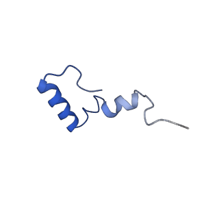 24937_7s9u_d_v1-1
44SR3C ribosomal particle