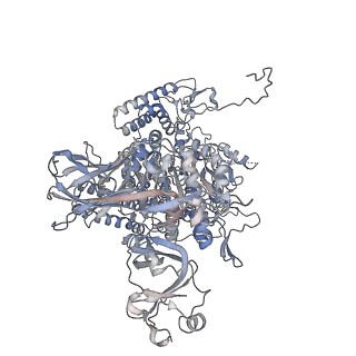 24939_7s9w_A_v1-0
Structure of DrmAB:ADP:DNA complex