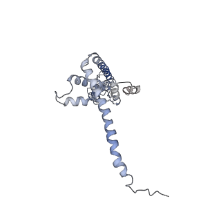 40233_8s90_A_v1-0
Cryo-EM structure of octameric human CALHM1 (I109W) in complex with ruthenium red (C1)