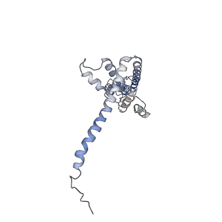 40233_8s90_B_v1-0
Cryo-EM structure of octameric human CALHM1 (I109W) in complex with ruthenium red (C1)