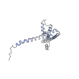 40233_8s90_C_v1-0
Cryo-EM structure of octameric human CALHM1 (I109W) in complex with ruthenium red (C1)