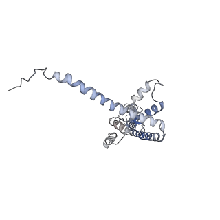 40233_8s90_D_v1-0
Cryo-EM structure of octameric human CALHM1 (I109W) in complex with ruthenium red (C1)