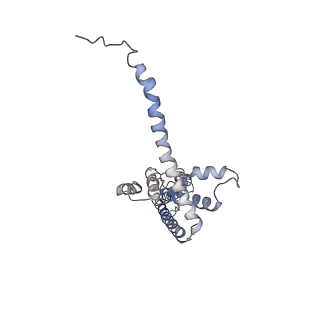 40233_8s90_E_v1-0
Cryo-EM structure of octameric human CALHM1 (I109W) in complex with ruthenium red (C1)