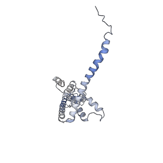 40233_8s90_F_v1-0
Cryo-EM structure of octameric human CALHM1 (I109W) in complex with ruthenium red (C1)