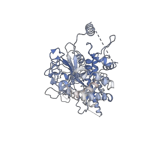 40234_8s91_A_v1-2
Structure of Walker B mutated MCM8/9 heterohexamer complex with ADP