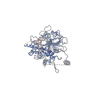 40234_8s91_C_v1-2
Structure of Walker B mutated MCM8/9 heterohexamer complex with ADP