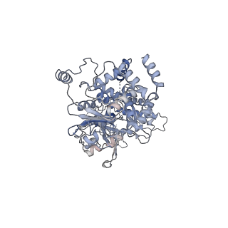40234_8s91_D_v1-2
Structure of Walker B mutated MCM8/9 heterohexamer complex with ADP