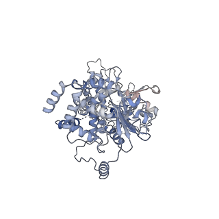 40234_8s91_E_v1-2
Structure of Walker B mutated MCM8/9 heterohexamer complex with ADP