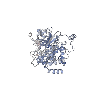 40234_8s91_F_v1-2
Structure of Walker B mutated MCM8/9 heterohexamer complex with ADP