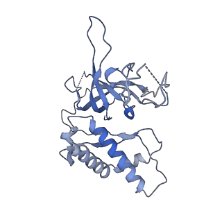 40235_8s92_D_v1-2
Structure of N-terminal domains of Walker B mutated MCM8/9 heterohexamer complex with ADP