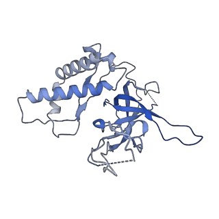 40235_8s92_E_v1-2
Structure of N-terminal domains of Walker B mutated MCM8/9 heterohexamer complex with ADP
