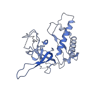 40235_8s92_F_v1-2
Structure of N-terminal domains of Walker B mutated MCM8/9 heterohexamer complex with ADP